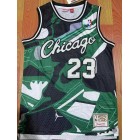 Maillot Basket 23 Jordan Bulls Vert Blanc