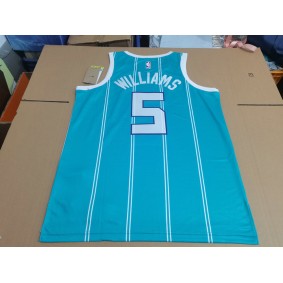 Maillot Charlotte Hornets Jordan Williams 5 Personnalisé Vert