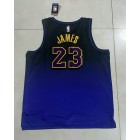 Maillot James Lakers 2024-25 city violet