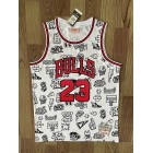 Maillot de Basket 23 Jordan Bulls trend Blanc