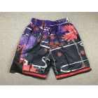 Short Toronto Raptors Rabbit Year Edition Just don