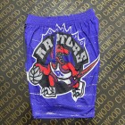 Short Toronto Raptors large screen